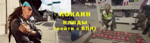 apvp Алексин